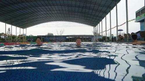 吃瓜爆料湾湾,吃瓜爆料，揭秘幕后真相